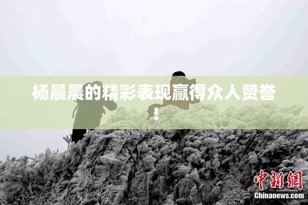 杨晨晨的精彩表现赢得众人赞誉！