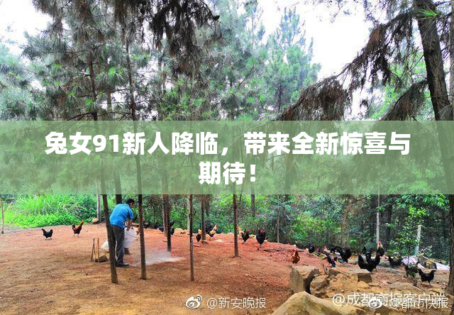 兔女91新人降临，带来全新惊喜与期待！
