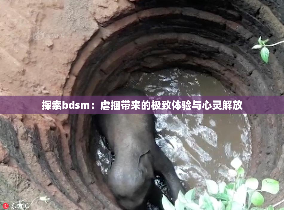 探索bdsm：虐捆带来的极致体验与心灵解放