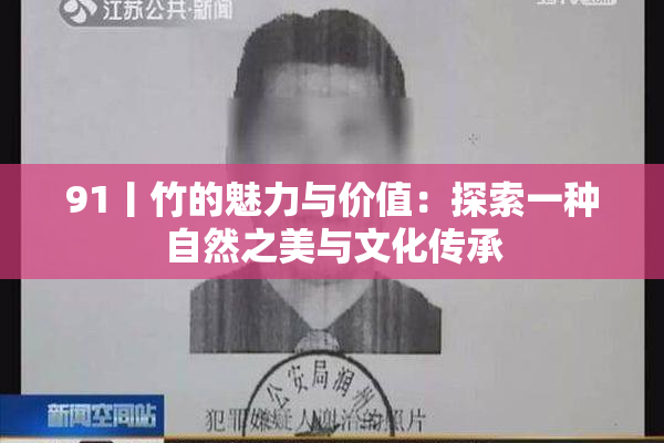 91丨竹的魅力与价值：探索一种自然之美与文化传承