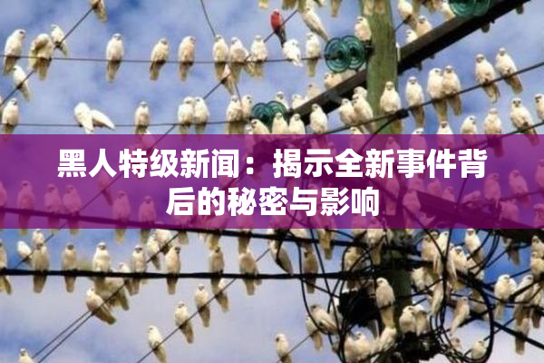 黑人特级新闻：揭示全新事件背后的秘密与影响