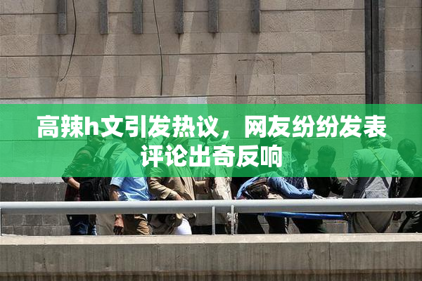 高辣h文引发热议，网友纷纷发表评论出奇反响