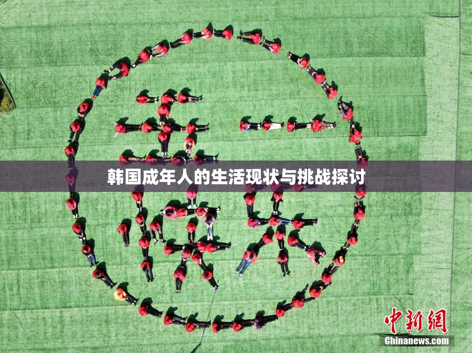 韩国成年人的生活现状与挑战探讨