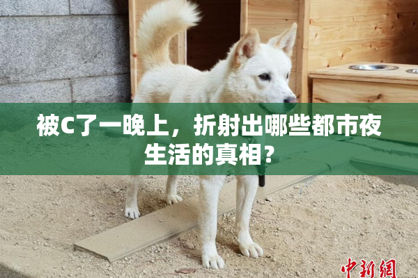 被C了一晚上，折射出哪些都市夜生活的真相？