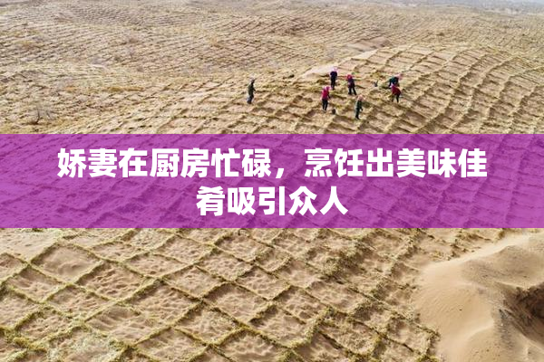 娇妻在厨房忙碌，烹饪出美味佳肴吸引众人