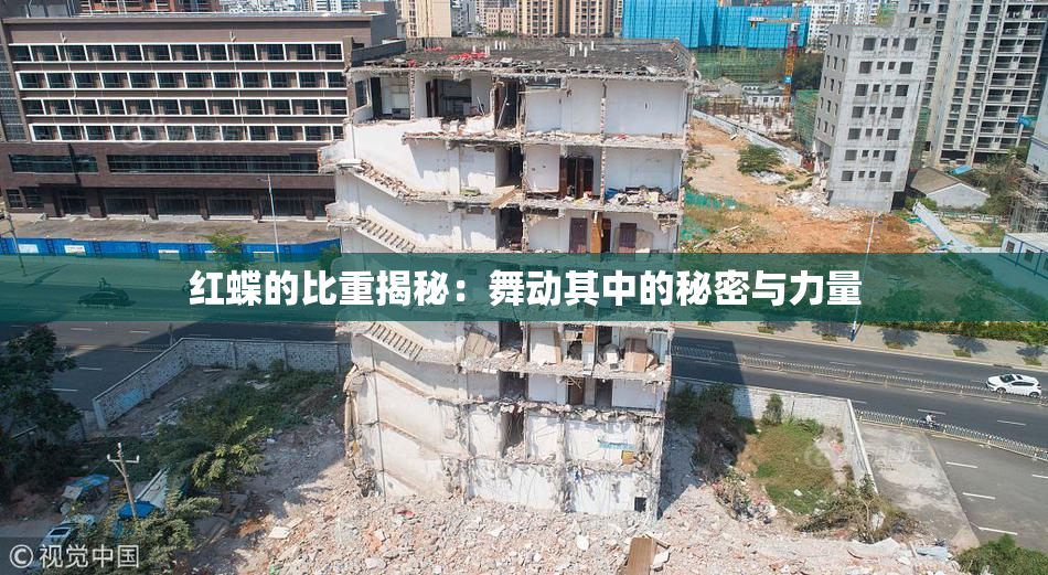 红蝶的比重揭秘：舞动其中的秘密与力量