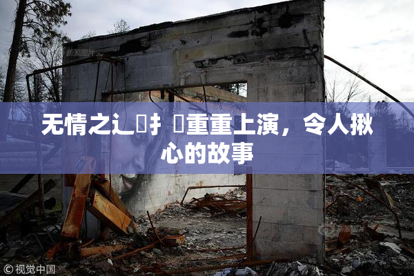 无情之辶喿扌畐重重上演，令人揪心的故事