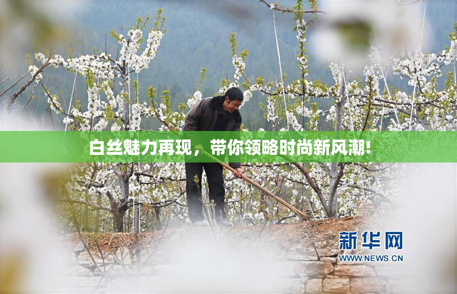 白丝魅力再现，带你领略时尚新风潮!