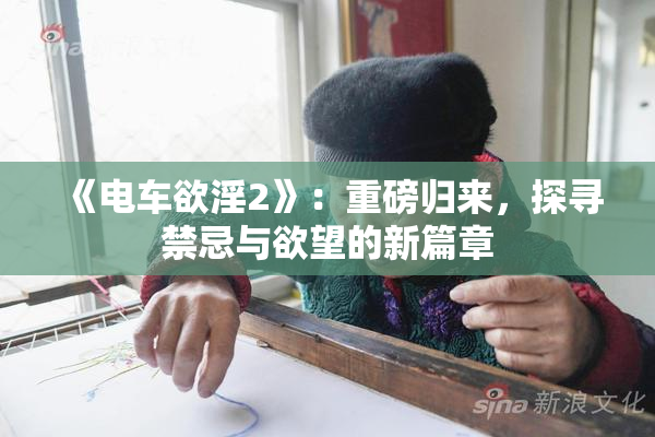 《电车欲淫2》：重磅归来，探寻禁忌与欲望的新篇章