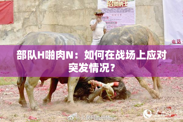 部队H啪肉N：如何在战场上应对突发情况？