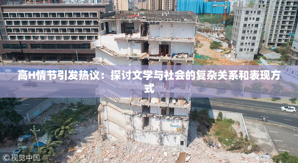 高H情节引发热议：探讨文学与社会的复杂关系和表现方式