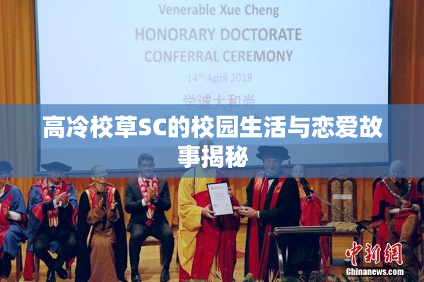 高冷校草SC的校园生活与恋爱故事揭秘