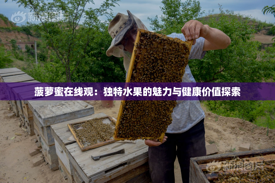 菠萝蜜在线观：独特水果的魅力与健康价值探索
