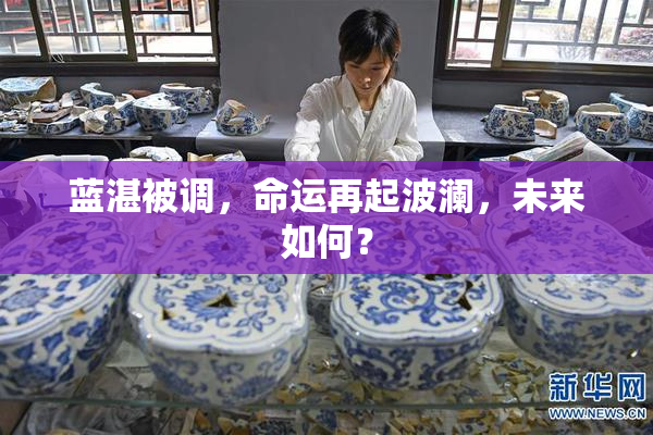 蓝湛被调，命运再起波澜，未来如何？