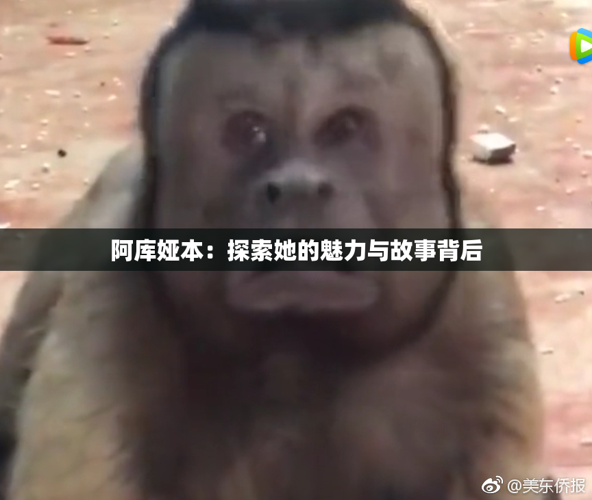阿库娅本：探索她的魅力与故事背后