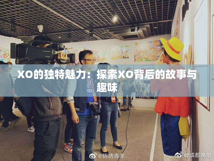 XO的独特魅力：探索XO背后的故事与趣味