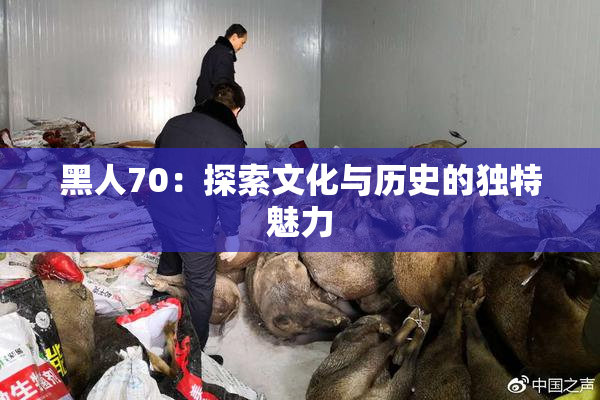 黑人70：探索文化与历史的独特魅力