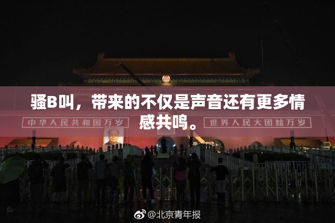 骚B叫，带来的不仅是声音还有更多情感共鸣。