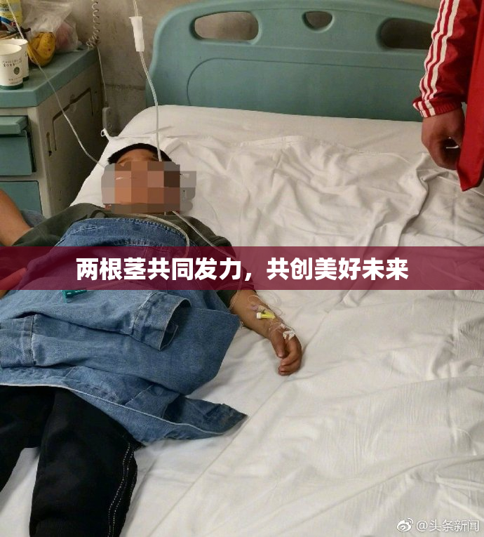 两根茎共同发力，共创美好未来