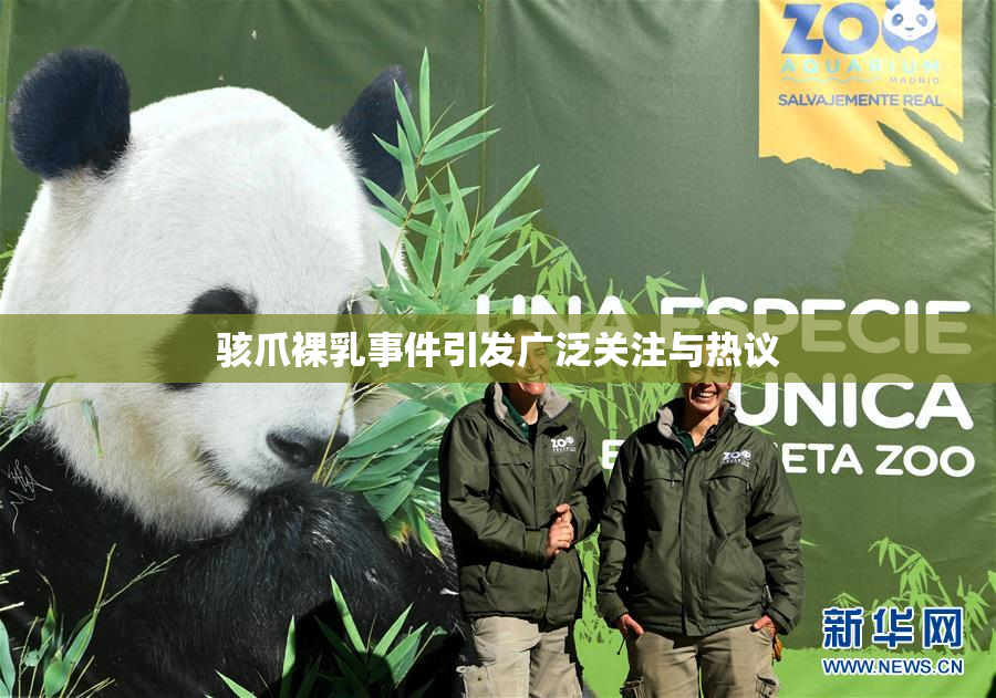 骇爪裸乳事件引发广泛关注与热议