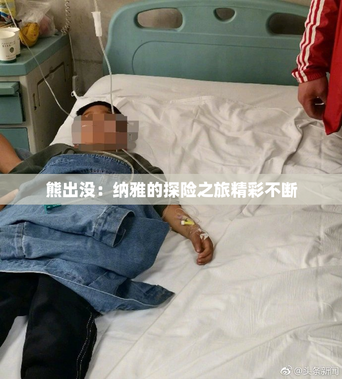 熊出没：纳雅的探险之旅精彩不断