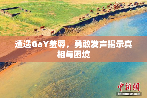 遭遇GaY羞辱，勇敢发声揭示真相与困境