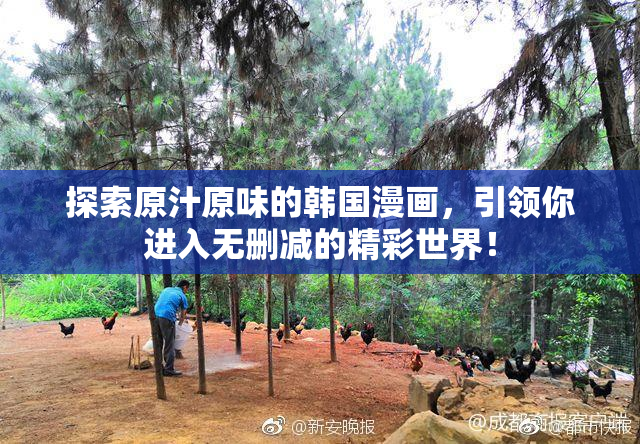 探索原汁原味的韩国漫画，引领你进入无删减的精彩世界！