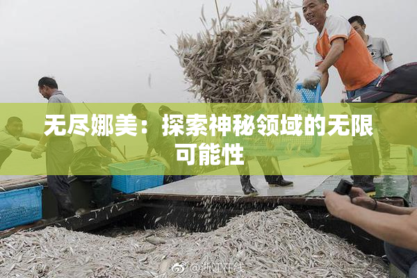 无尽娜美：探索神秘领域的无限可能性