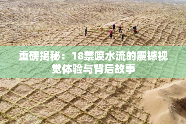 重磅揭秘：18禁喷水流的震撼视觉体验与背后故事
