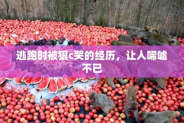 逃跑时被狠c哭的经历，让人唏嘘不已