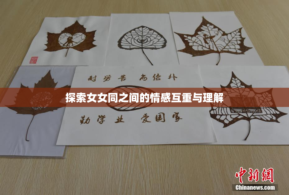探索女女同之间的情感互重与理解