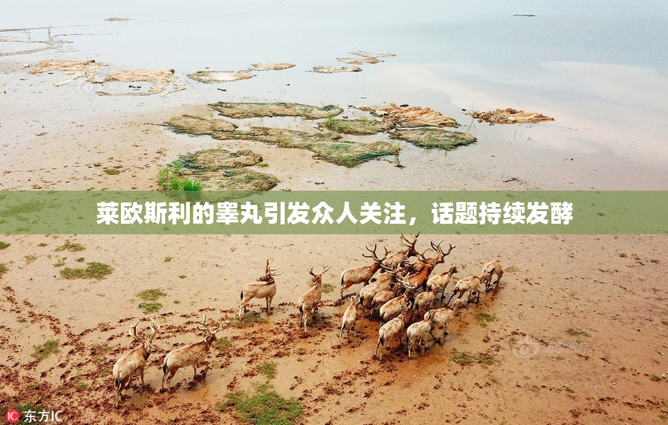 莱欧斯利的睾丸引发众人关注，话题持续发酵