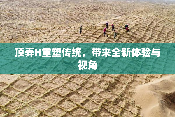 顶弄H重塑传统，带来全新体验与视角