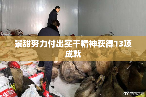 景甜努力付出实干精神获得13项成就