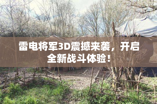 雷电将军3D震撼来袭，开启全新战斗体验！