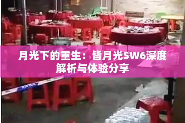 月光下的重生：皆月光SW6深度解析与体验分享