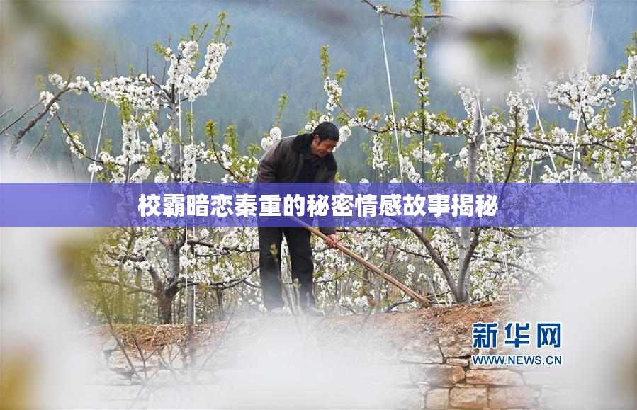 校霸暗恋秦重的秘密情感故事揭秘