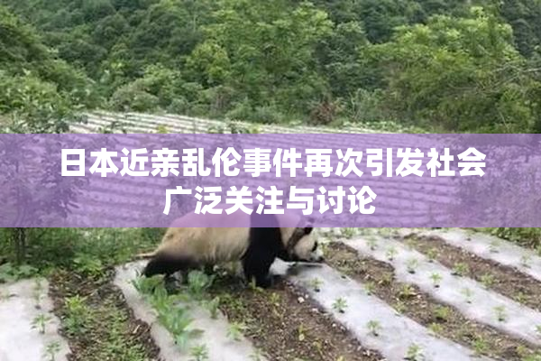 日本近亲乱伦事件再次引发社会广泛关注与讨论