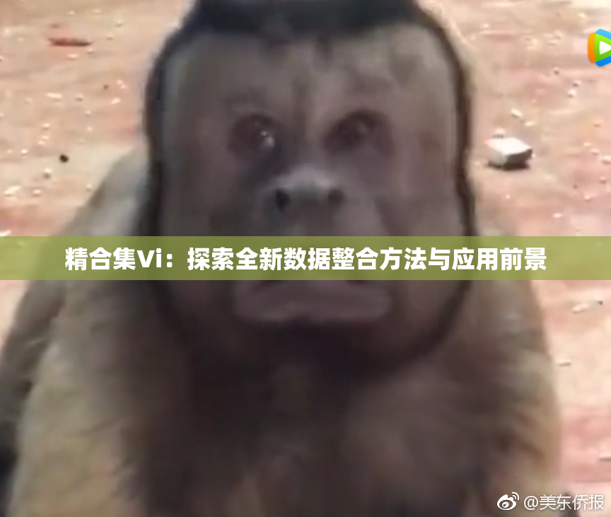 精合集Vi：探索全新数据整合方法与应用前景