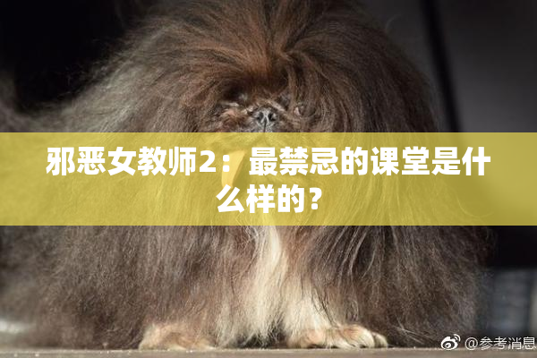 邪恶女教师2：最禁忌的课堂是什么样的？