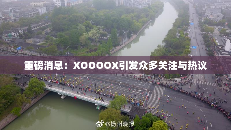重磅消息：XOOOOX引发众多关注与热议