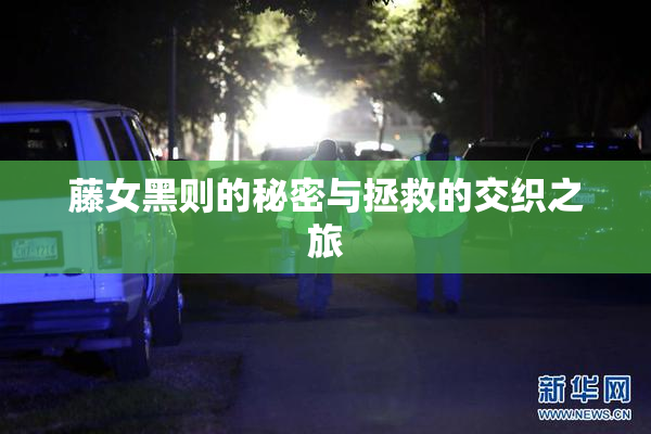 藤女黑则的秘密与拯救的交织之旅