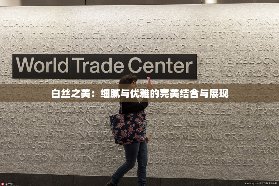 白丝之美：细腻与优雅的完美结合与展现