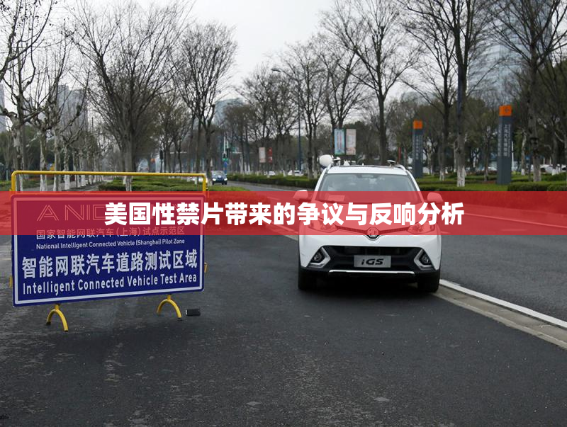 美国性禁片带来的争议与反响分析