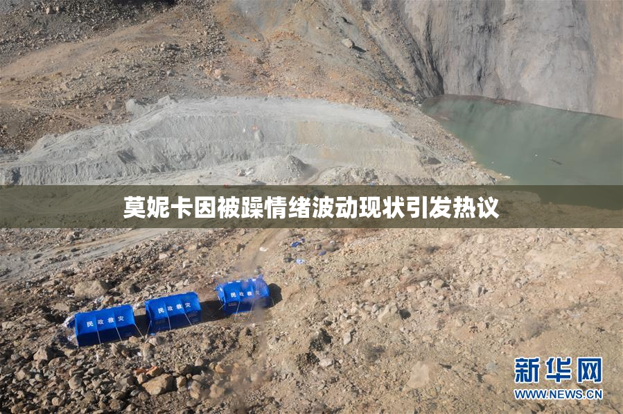 莫妮卡因被躁情绪波动现状引发热议