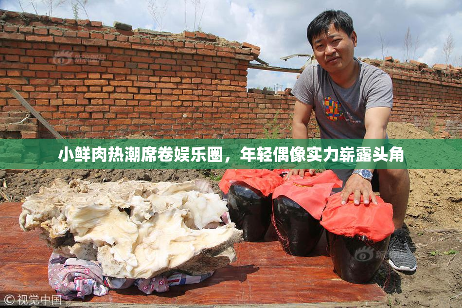小鲜肉热潮席卷娱乐圈，年轻偶像实力崭露头角