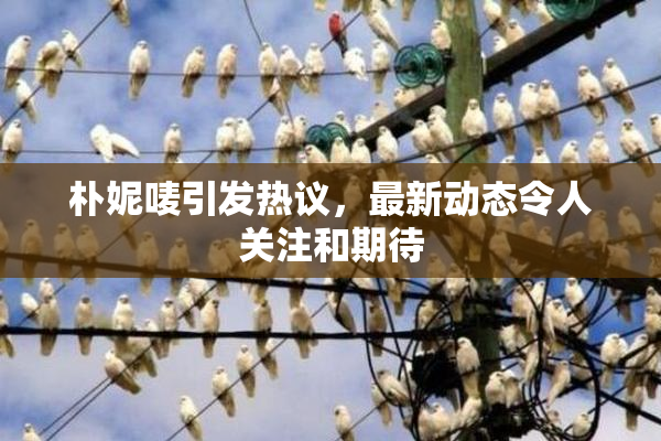 朴妮唛引发热议，最新动态令人关注和期待