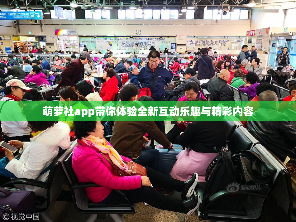 萌萝社app带你体验全新互动乐趣与精彩内容