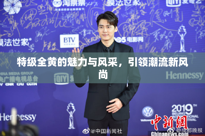 特级全黄的魅力与风采，引领潮流新风尚