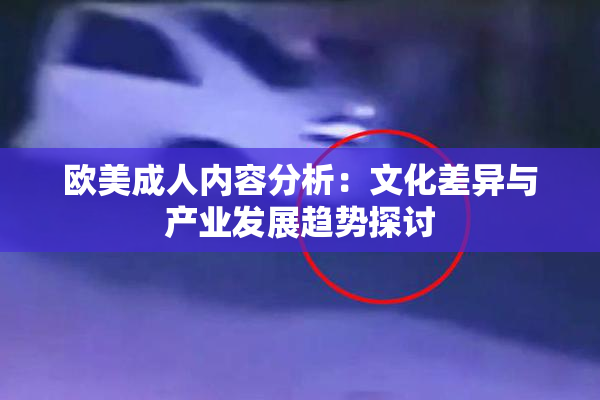 欧美成人内容分析：文化差异与产业发展趋势探讨
